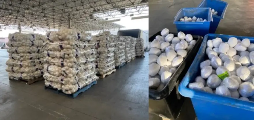 onions12