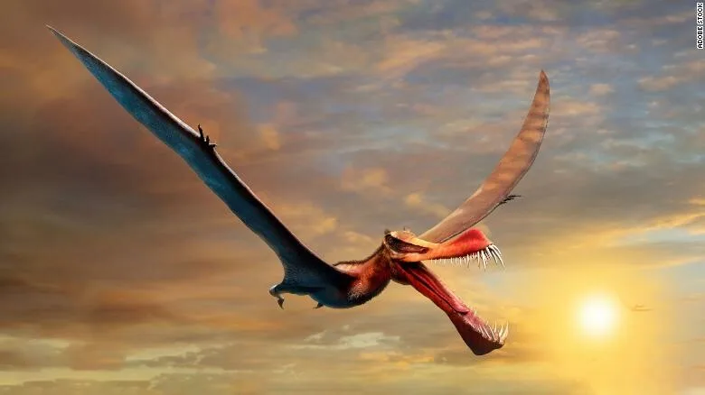 pterosavros drakos 2