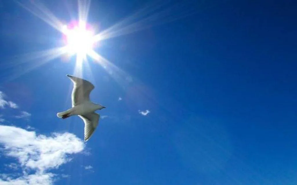 200719081017 liakada 1024x639 1