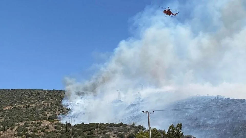 281829914 3217858258477719 3204527243432616940 n 66