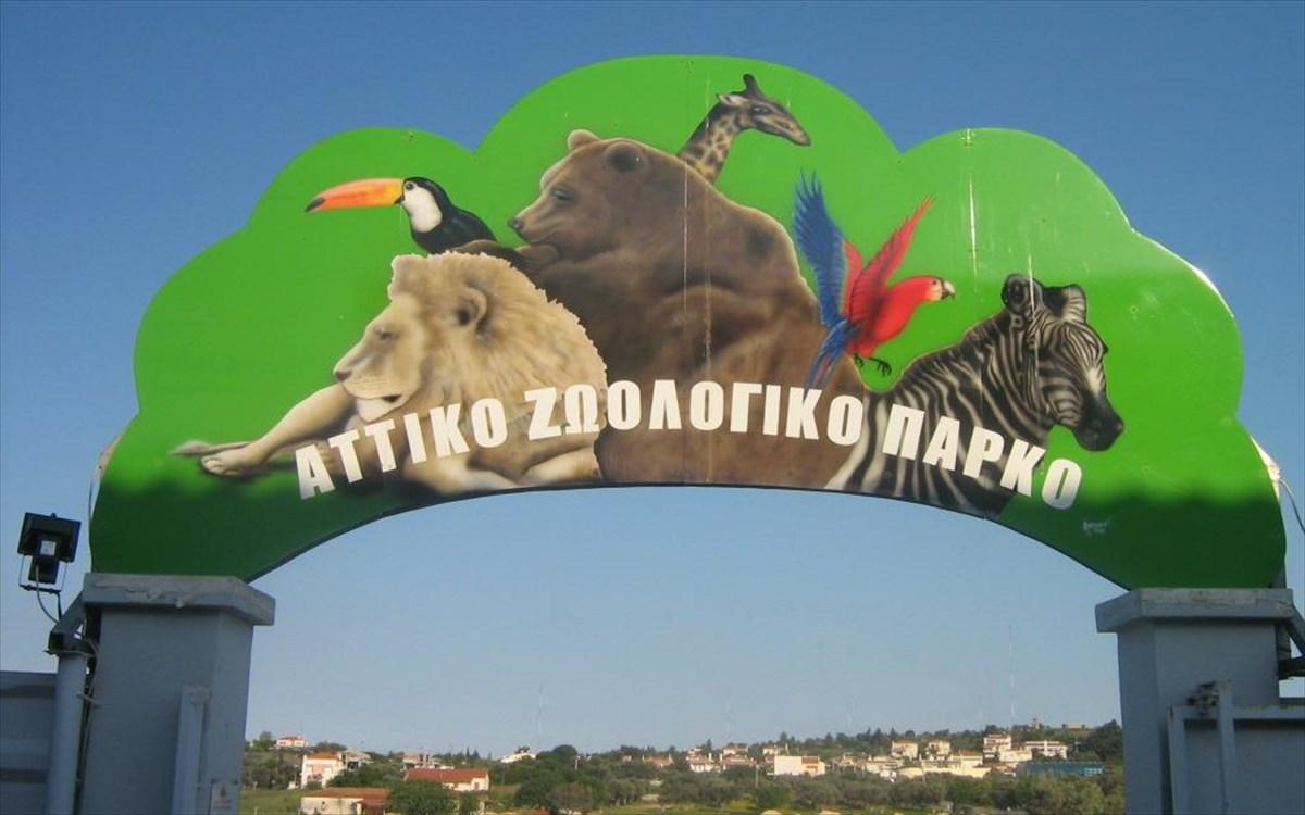 attiko zoologiko parko