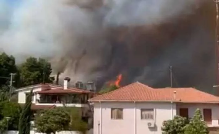 ileia fotia 1