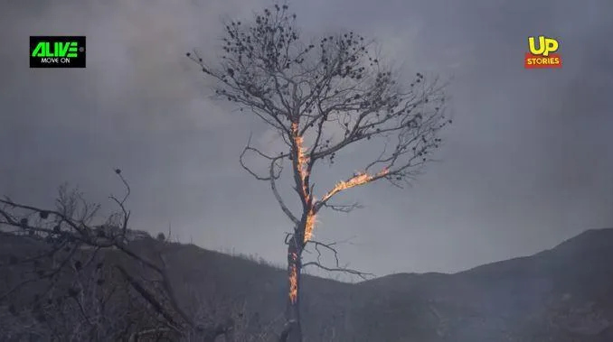mati video