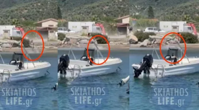 skiathos aeroplano touristria