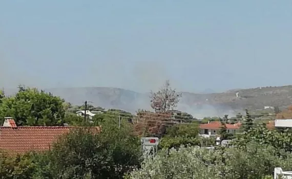 fotia koropi
