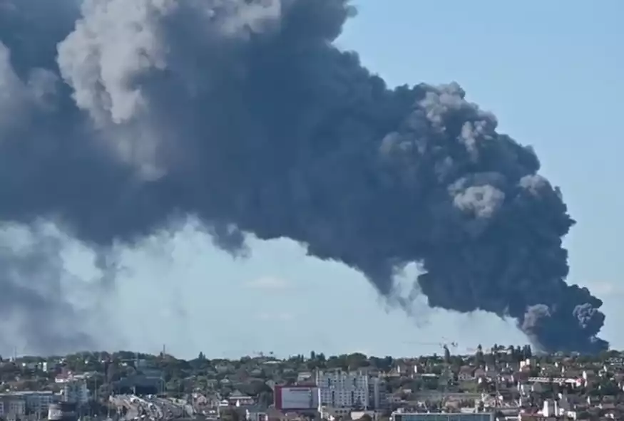 95cbabf9 4641 4d5b 93c4 d0fb142a7c1b