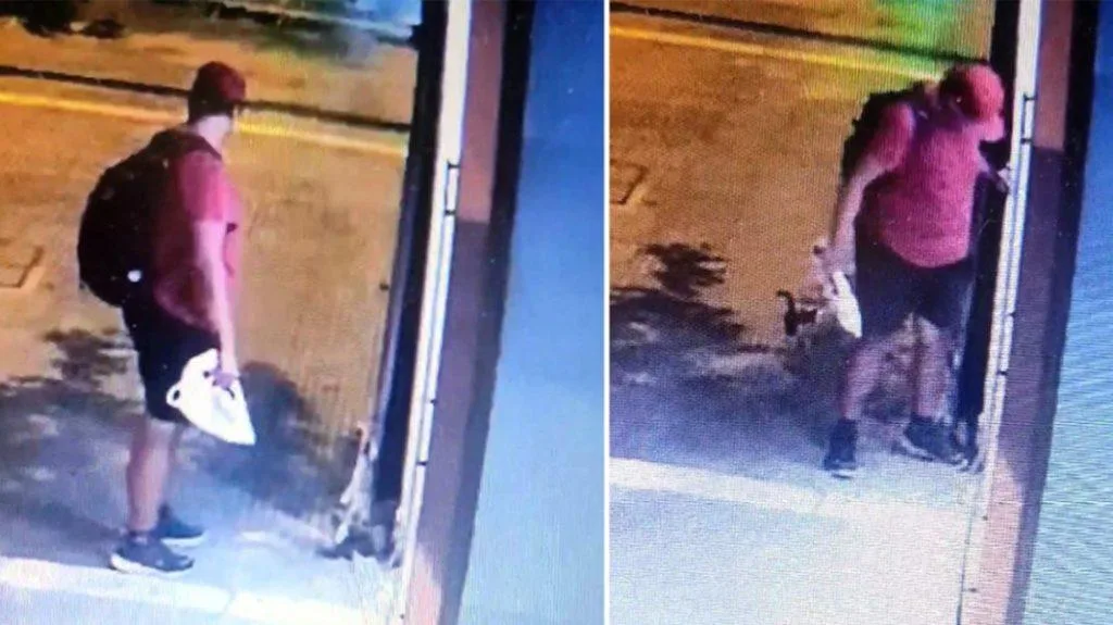 gataki thessaloniki arthro 1068x600 1 1024x575 1