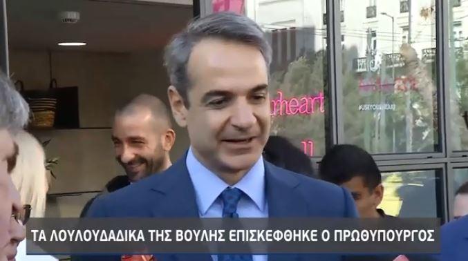 mitsotakis louloudadika