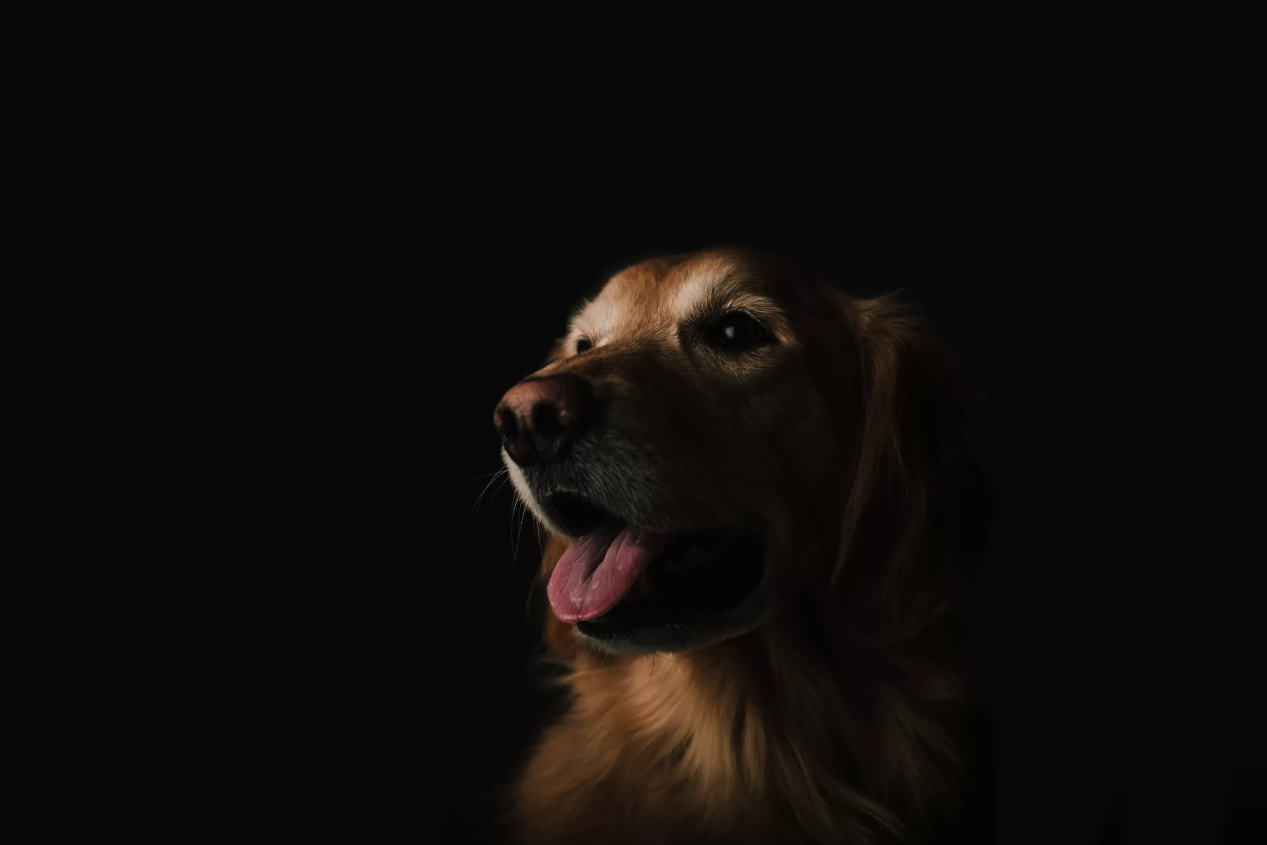 brandon day oCJuJQqvCzc unsplash scaled