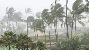 ausstralia aystralia kyklonas tyfonas 0902890290211221