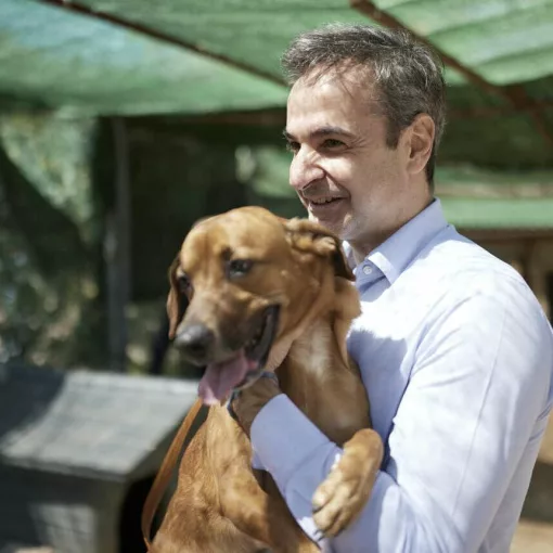 mitsotakis pinat skylos skilos 0921090290290921221