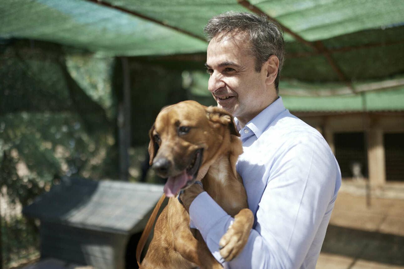 mitsotakis pinat skylos skilos 0921090290290921221