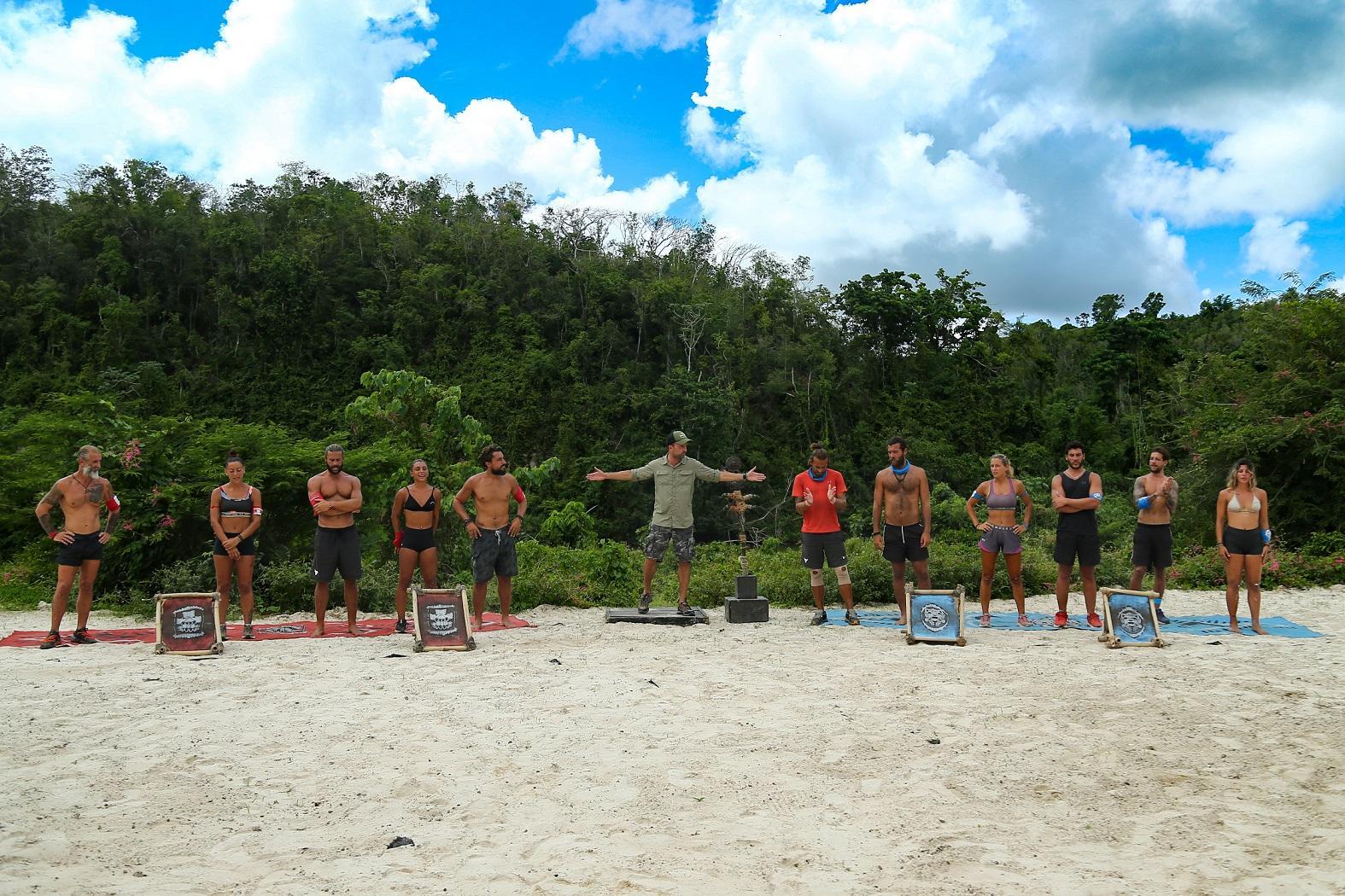 SURVIVOR ALL STAR 1 1