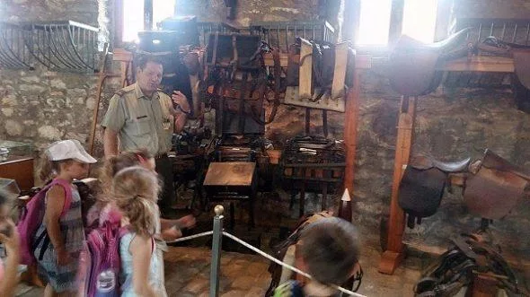 kthn1 e1503474769670