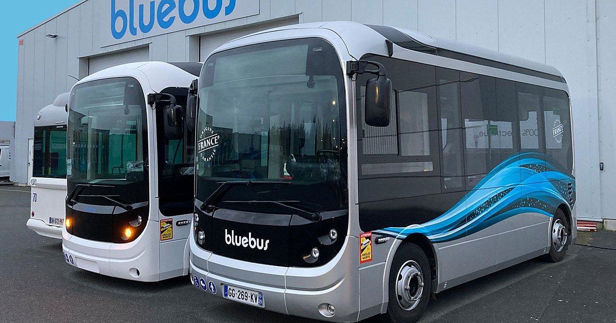 bluebus sygelidis 2 6 2023