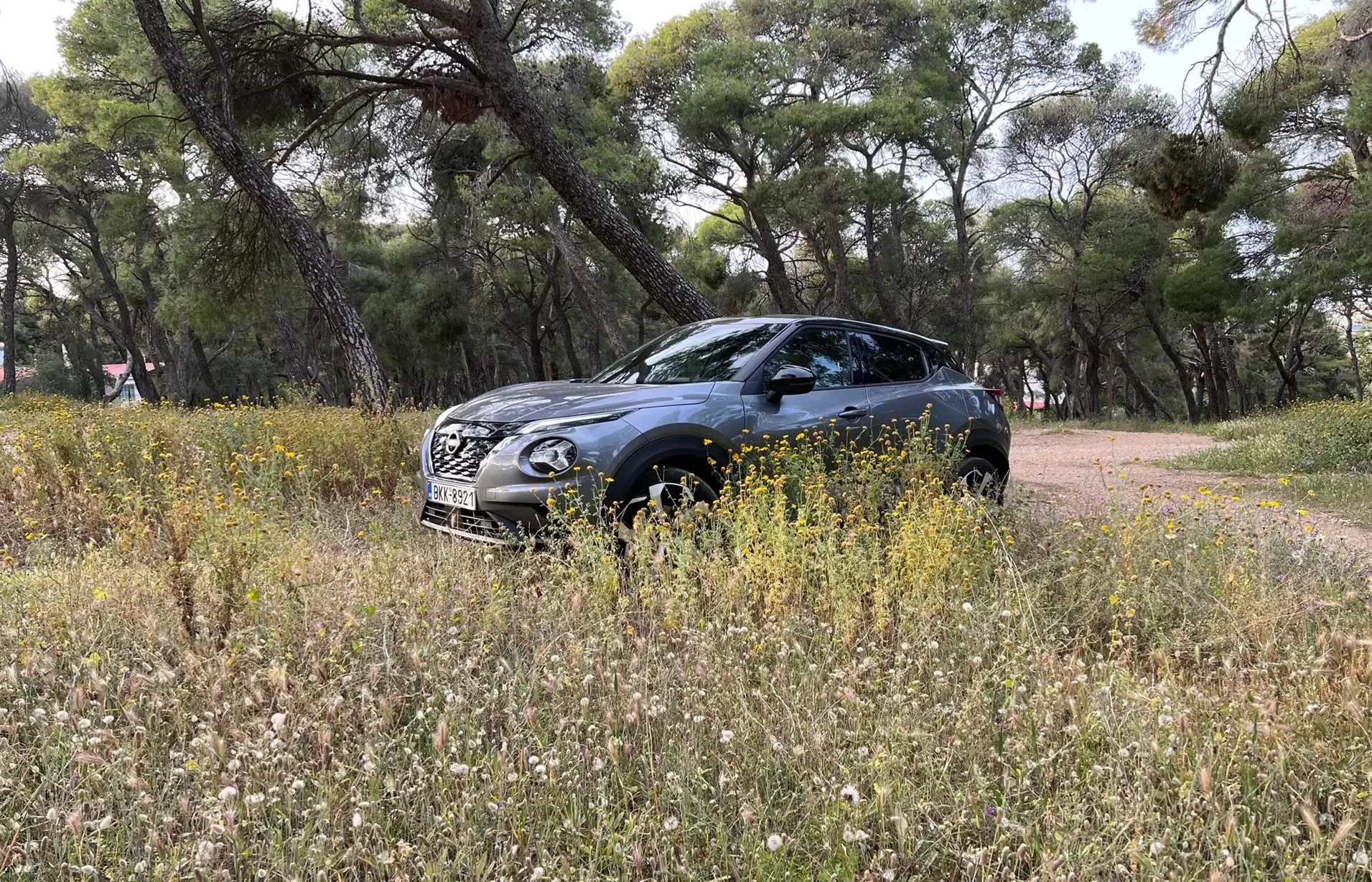 issan juke hybrid 25 6 2023