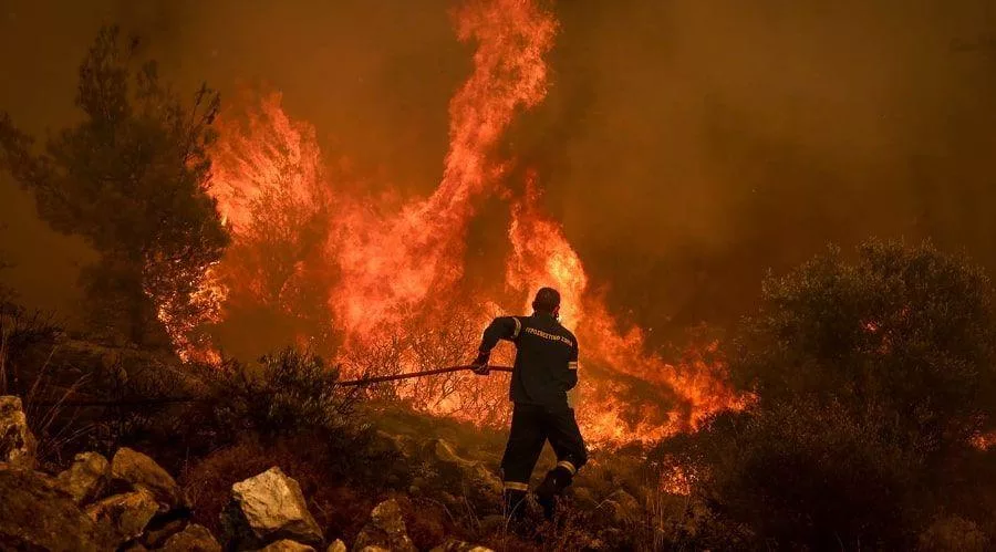 Screenshot 335 7.jpg