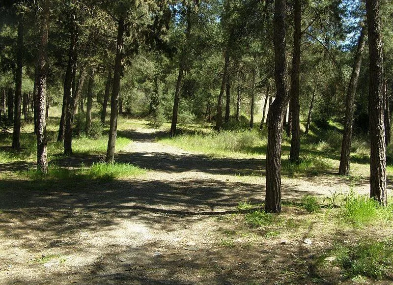 Seih Sou 800x580 1.jpg