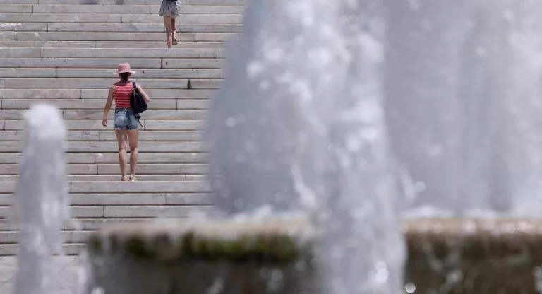 zesth 768x512 1 e1688997847307.jpg