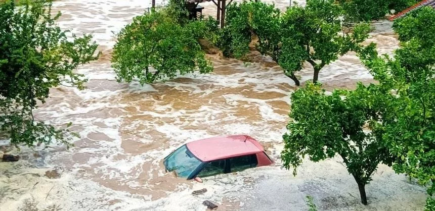 Screenshot 570 6.jpg