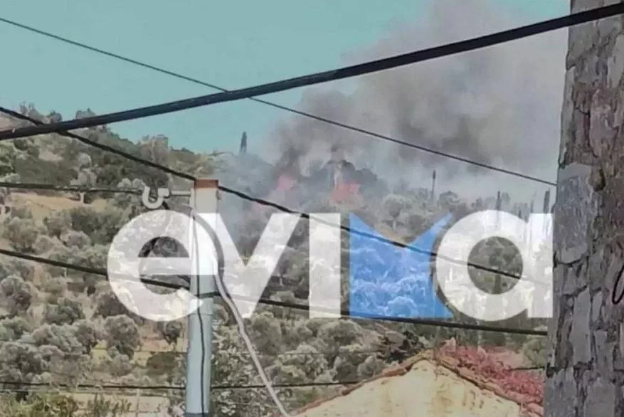 Εύβοια: Νέα φωτιά, καίει μέσα στον οικισμό της Δάφνης 1 fotia-evia-e1699261960261-1.jpg