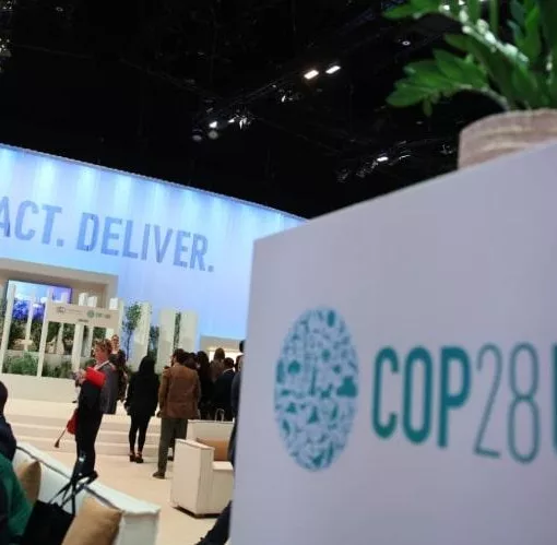 COP28