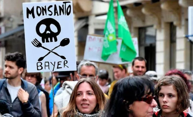 monsanto-bayer-e1702980677992.jpg