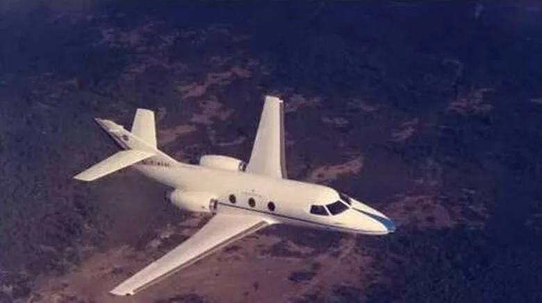 falcon10.jpg