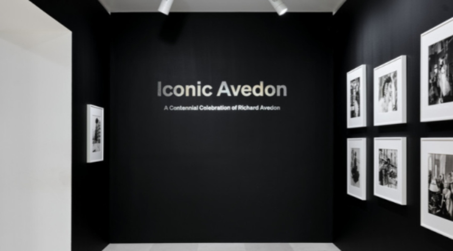 iconic avedon 1112111 1.jpg