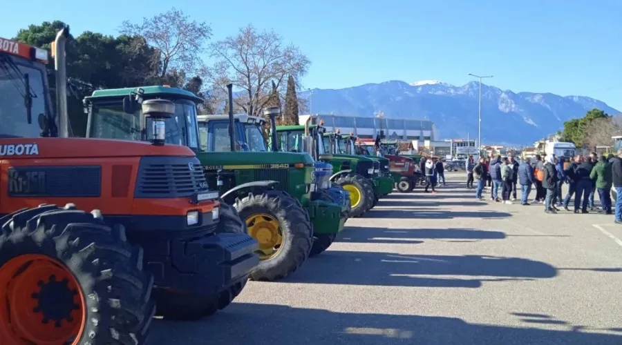 agrotes trakter lamia 01111 1.jpg