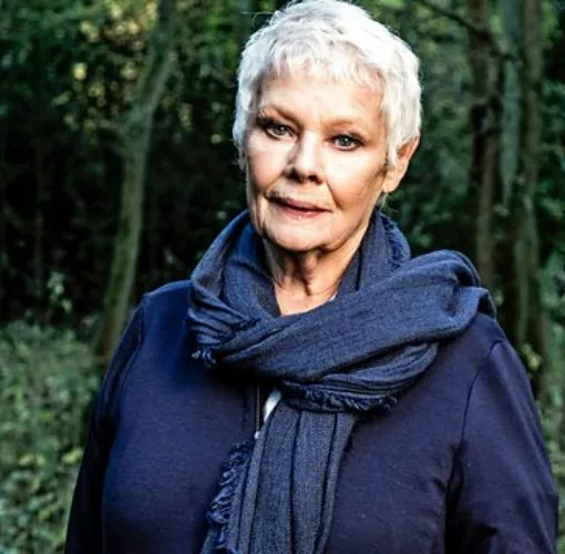 judi dench 1122121111.jpg